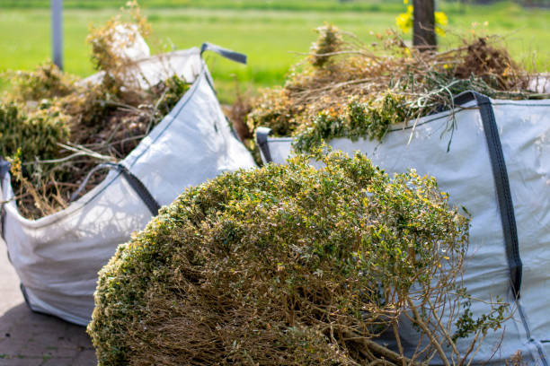 Trusted Frontenac, KS Junk Removal Services Experts